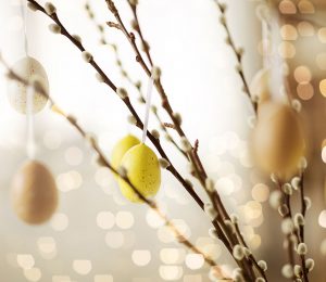 Am Foto ist ein Osterstrauch mit ausgeblasenen Ostereiern zu sehen.
