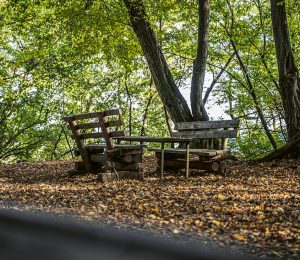 Am Foto sieht man einen der möglichen Rastplätze auf der Tour die Belesene.